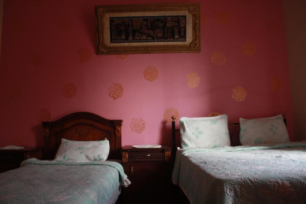 Hola Cairo Hostel Habitación foto